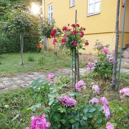 Szorcsik Haz 1913 Apartament