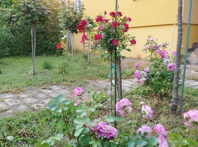 Szorcsik Ház 1913 Apartamento